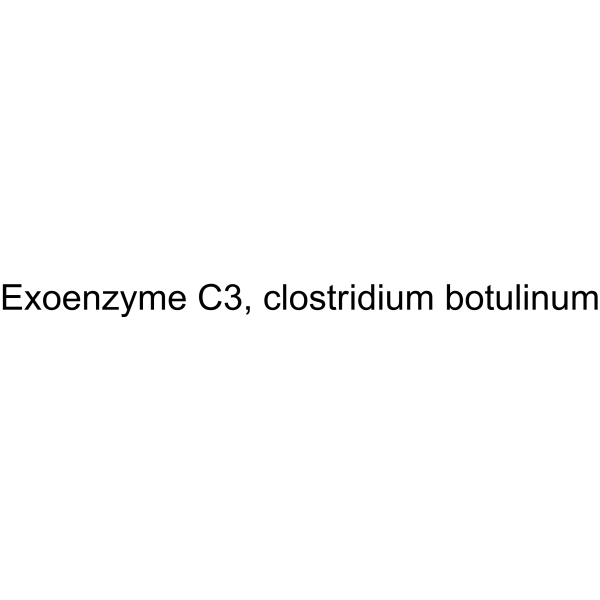 Exoenzyme C3, clostridium botulinum 58319-92-9